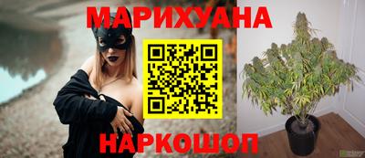 ГАЛЛЮЦИНОГЕННЫЕ ГРИБЫ Заволжье