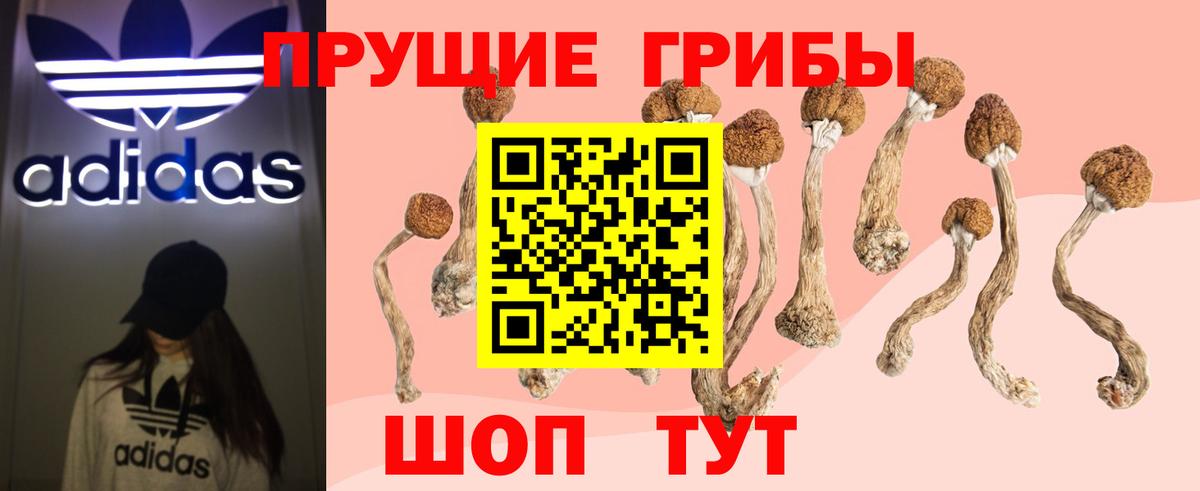 продажа наркотиков  Псилоцибиновые грибы мицелий  Вход с VPN  Ливны  Галлюциногенные грибы Cubensis 